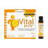 Фото #1 товара Маточное молочко Drasanvi Vitalpur 20 штук 15 ml