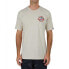 SALTY CREW Interclub Premium short sleeve T-shirt
