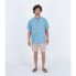 Фото #4 товара HURLEY One And Only Stretch short sleeve shirt