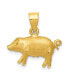 Фото #1 товара Pig Pendant in 14k Yellow Gold