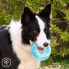 Фото #2 товара Замораживаемая жевательная игрушка 2-в-1 для домашних животных Glubiz InnovaGoods
