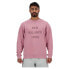 Фото #1 товара NEW BALANCE Iconic Collegiate Graphic sweatshirt