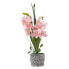 Фото #1 товара Künstliche Orchidee im Zement-Topf 58 cm