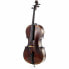 Фото #1 товара Gewa Germania 11 Paris Antik Cello