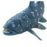 Фото #6 товара SAFARI LTD Coelacanth Figure