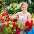 Rankbogen für Rosen mit Verzierung - фото #5