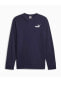 Ess Elevated Erkek Sweatshirt 67597406