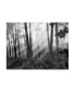 Фото #1 товара Monte Nagler Mystical Forest Monterey California Canvas Art - 37" x 49"