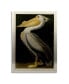 Фото #1 товара John James Audubon American White Pelican Floating Brushed Aluminum Art - 22" x 25"