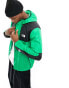 Фото #1 товара The North Face Seasonal Mountain jacket in green