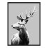 Фото #1 товара Bild Red Deer