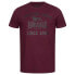Фото #4 товара LONSDALE Torbay short sleeve T-shirt 2 units