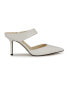 ფოტო #1 პროდუქტის Women's Darian Slip-on Pointy Toe Dress Pumps