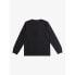 ფოტო #5 პროდუქტის QUIKSILVER EQBZT04791 The Peakls long sleeve T-shirt