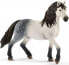 Фото #1 товара schleich figurine Andalusian stallion (13821)