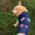 Фото #7 товара Куртка для собак Marvel Синий XS