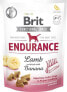 Фото #1 товара Лакомство для собак Brit Care functional snack endurance ягненок 150 г