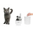 CATIT Short hair grooming kit