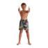 Фото #1 товара SPEEDO Printed 15´´ Swimming Shorts