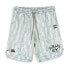 Фото #1 товара GRIMEY Lucky Dragon Basket shorts