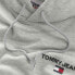 TOMMY JEANS Reg Entry Graphic hoodie