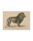Фото #1 товара Wild Apple Portfolio Vintage Lion Canvas Art - 15" x 20"