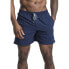 TRESPASS Granvin Swimming Shorts