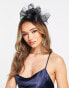 Фото #6 товара True Decadence floral fascinator in black