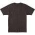 DC Shoes Dcstar Pigment short sleeve T-shirt