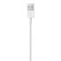Фото #5 товара Apple Lightning to USB Cable - Cable - Digital 1 m - 4-pole