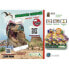 Фото #1 товара Фигурка Collecta Collect Jurassic Card Virtual Dino Figure Dino Cards (Коллекция динозавров)
