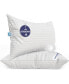 Medium Comfort with 700 Fill Power - Standard Size Set of 2