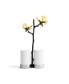 Фото #3 товара Butterfly Ginkgo Salt and Pepper Shaker