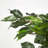 Фото #10 товара Искусственные цветы Homescapes Ficus Benjamini 120 см (зеленый)