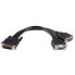 STARTECH LFH 59 To Dual VGA DMS 59 20 cm Cable