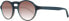 Web Sonnenbrille WE0129 92G 49 Unisex Blau - фото #1