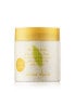 Фото #1 товара Elizabeth Arden Green Tea Citron Freesia Honey Drops Body Cream (500 ml)