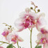 Künstliche pink-weiße Phalaenopsis