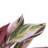 Фото #4 товара Декоративное растение BB Home 44 х 39 х 48 см Розовый Зеленый PVC