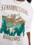 Фото #2 товара Daisy Street relaxed T-shirt with Standing Stone mountains graphic