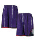 ფოტო #2 პროდუქტის Big Boys Purple Toronto Raptors 1998 Hardwood Classics 75th Anniversary Swingman Shorts