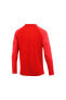 Фото #20 товара M Nk Df Acdpr Drıl Top K Erkek Sweatshirt