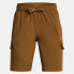 UNDER ARMOUR Pennant Woven Cargo shorts