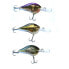 RAPALA DT 10 crankbait 17g 60 mm