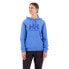 Фото #1 товара HELLY HANSEN Logo sweatshirt