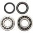 HOTRODS Honda 2002-2005 CRF450R Crank Shaft Bearing&Seal Kit