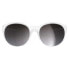 Фото #3 товара Очки POC Avail Sunglasses