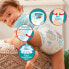 Фото #8 товара Baby Pants Baby Dry Gr.7 Extra Large (17+ kg), 18 St