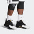 Фото #8 товара Баскетбольные кроссовки adidas D Lillard 5Sport Performance DAME 5 EE4049