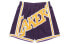 Mitchell & Ness Big Face 96-97 Shorts